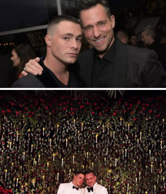 红箭Colton Haynes和结婚6个月的老公分手？同志爱情来的快 去的也快？-51虹马