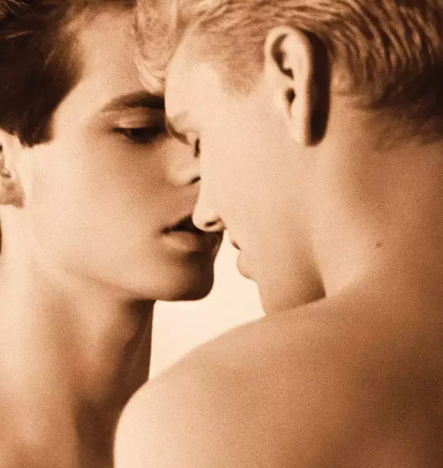 美国同志电影《诱惑17岁》高三男孩打工邂逅,电影节最佳-51虹马