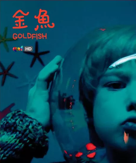 《金鱼》：都一样美丽-51虹马