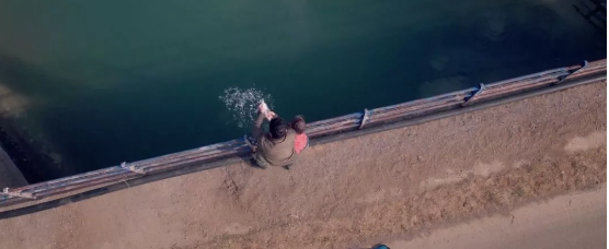 《金鱼》：都一样美丽 - 51虹马