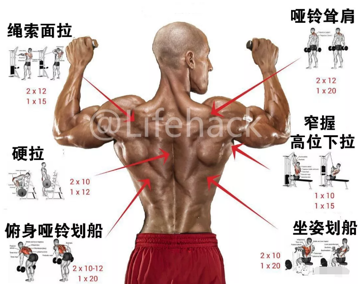 国外全身肌肉训练图解，终于知道该怎么练了 - 51虹马