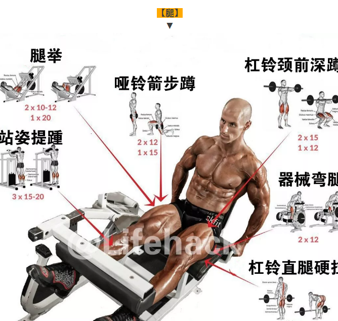 国外全身肌肉训练图解，终于知道该怎么练了 - 51虹马