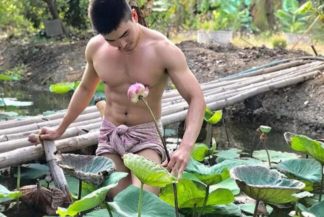 泰男筋肉帅哥娇羞以手吾dang - 51虹马