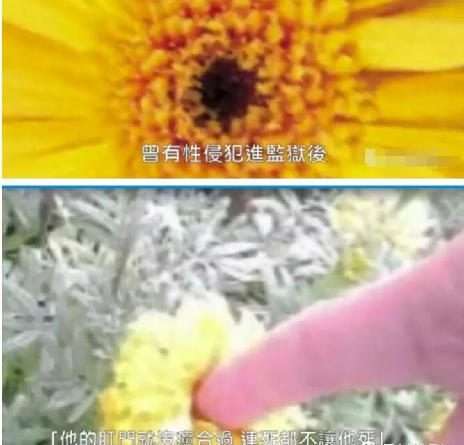 义渠君高云翔澳洲监狱被侵犯？身体不适就医！+高云翔男色写真 - 51虹马