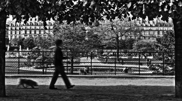 那晚和名媛睡觉后，我知道了他的秘密！ - 51虹马