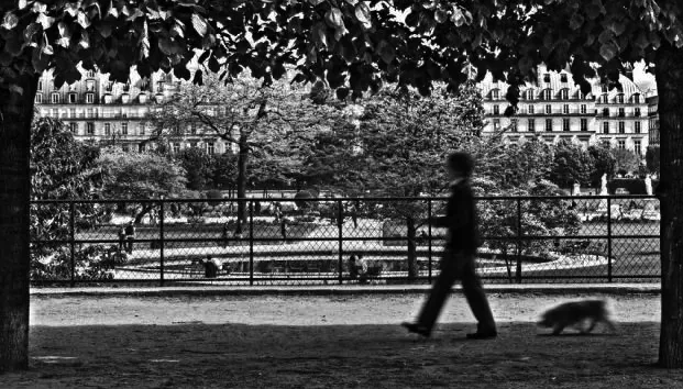 那晚和名媛睡觉后，我知道了他的秘密！ - 51虹马