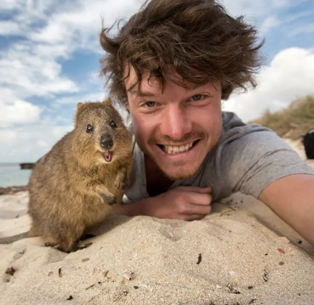 那晚和名媛睡觉后，我知道了他的秘密！ - 51虹马