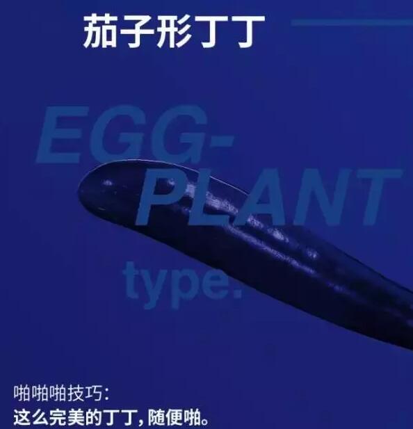 生殖器的形状决定那个姿势,别不懂哦! - 51虹马 生殖器的形状决定那个姿势,别不懂哦! - 51虹马