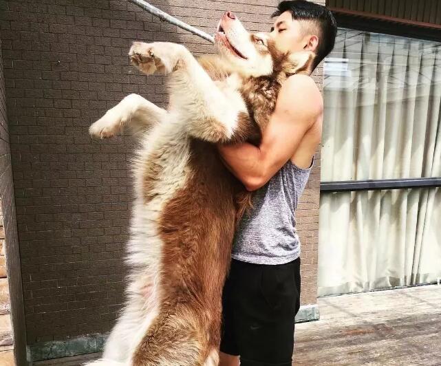 95后大肌霸，竟也有些许口耐。 - 51虹马