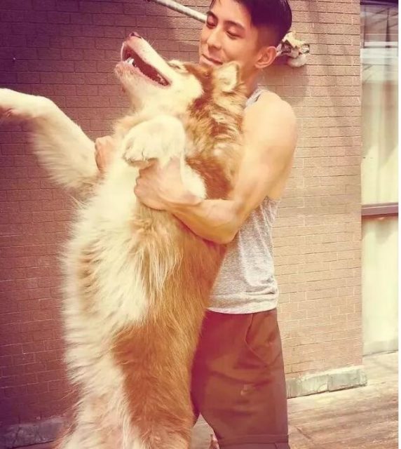 95后大肌霸，竟也有些许口耐。 - 51虹马