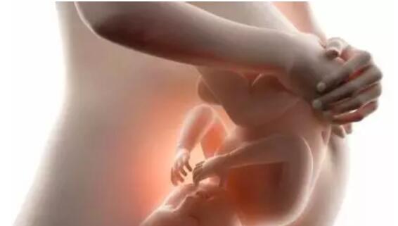 同志如果生下孩子，对孩子真的好吗？ - 51虹马