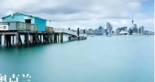 在新西兰帅哥面前，我的安静一文不值 - 51虹马