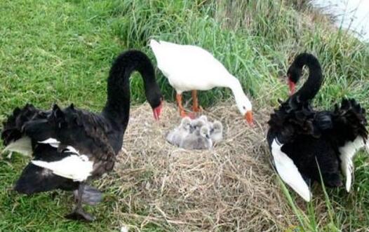 今日同志国际新闻:因为是亚裔gay这位男模遭到弃用等 - 51虹马 今日同志国际新闻:因为是亚裔gay这位男模遭到弃用等 - 51虹马