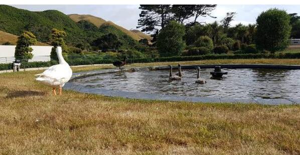 今日同志国际新闻:因为是亚裔gay这位男模遭到弃用等 - 51虹马 今日同志国际新闻:因为是亚裔gay这位男模遭到弃用等 - 51虹马