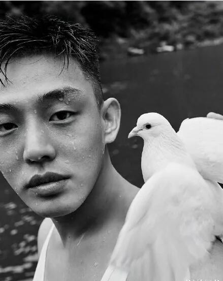 偶像男星Gay吧狂欢疑出柜，他居然爱壮熊！ - 51虹马