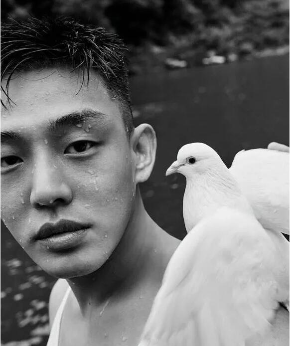 偶像男星Gay吧狂欢疑出柜，他居然爱壮熊！ - 51虹马