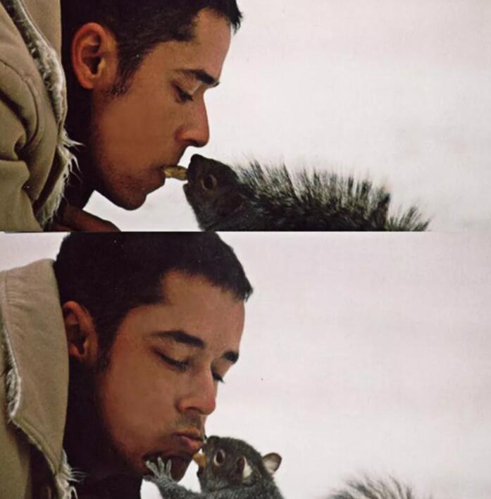 盘点欧美男优,细数硬盘种马,哪一款让你难以自拔? - 51虹马 盘点欧美男优,细数硬盘种马,哪一款让你难以自拔? - 51虹马