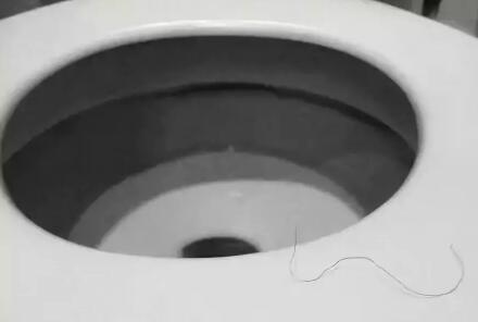 私密处的毛越多代表性欲越强?那音毛和肛毛刮还是不刮?-51虹马