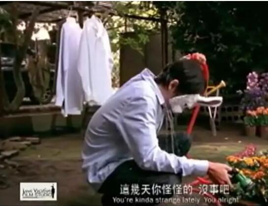 少年不戴花 弯的？直的？改变不了，就面对吧 - 51虹马