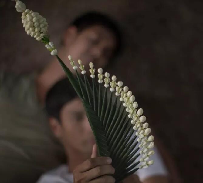 《告別茉莉》情感真挚、绝美动人。免费在线看 - 51虹马 《告別茉莉》情感真挚、绝美动人。免费在线看 - 51虹马