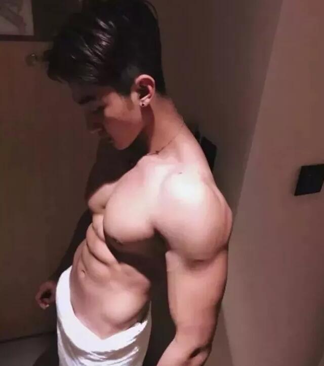 看点∣小萌脸大胸肌的小狼狗太奔放，黄子韬的Plus版让网友大呼受不了！！ - 51虹马