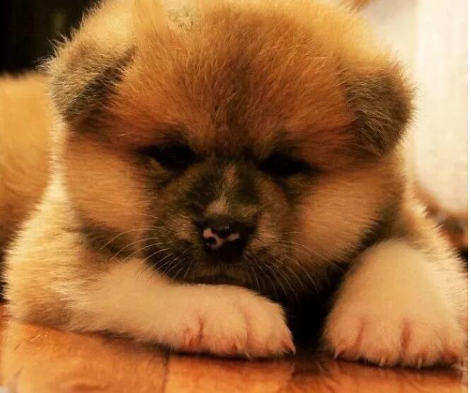 看点∣肌肉网红网球小哥,海边清凉照+健身房心机秀翘臀,越玩越大了惹~ - 51虹马 看点∣肌肉网红网球小哥,海边清凉照+健身房心机秀翘臀,越玩越大了惹~ - 51虹马