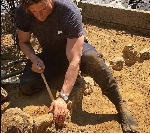 天菜园丁强烈要求加入岛国，竟还玩起筋肉操？ - 51虹马