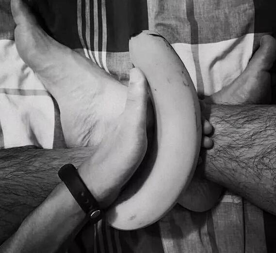 小攻森林or小受花花上的毛毛怎么打理? - 51虹马 小攻森林or小受花花上的毛毛怎么打理? - 51虹马