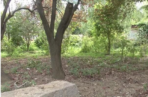 男子深夜公园约小伙激战，结果来了五个未成年小伙 - 51虹马