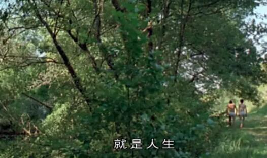 学生们知道我是gay-51虹马