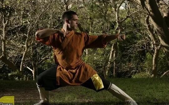 DNA男模千里少林学功夫，回国后竟然.... - 51虹马