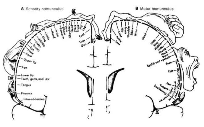 那些偷原味，恋脚喜丝袜的男孩究竟怎么了？ - 51虹马
