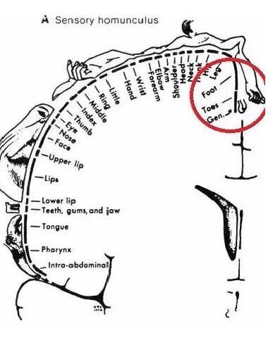 那些偷原味，恋脚喜丝袜的男孩究竟怎么了？ - 51虹马