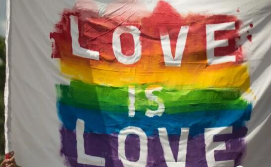 同志经济怎么做？财富自由对于同志意味着什么？-51虹马