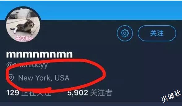 小壮狗网红直言吸完上海优质1信息唯恐是假！双丁全见可比八卦有看点！ - 51虹马