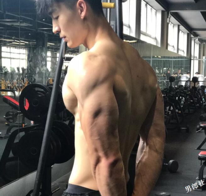 看点∣被按住堵嘴又掀衣！健身筋肉小狼狗，颜值能打身材扛造！ - 51虹马