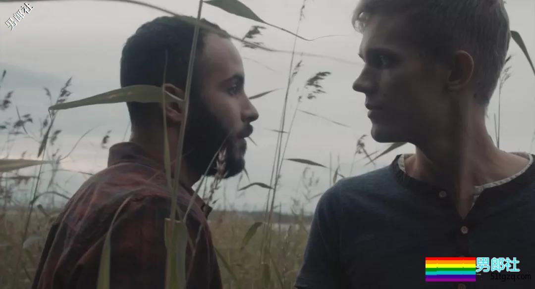 《芦苇的时光》: 芬兰夏天,情的始与终 - 51虹马 《芦苇的时光》: 芬兰夏天,情的始与终 - 51虹马