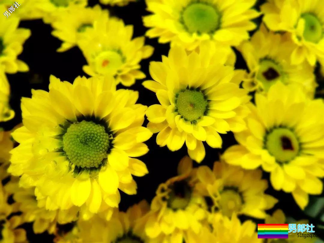 号称能“治好”gay的医生,私下“同性”交友,脸呢? - 51虹马 号称能“治好”gay的医生,私下“同性”交友,脸呢? - 51虹马