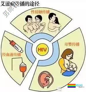 校草“误入”同志圈成红人,频繁“约”终染病 - 51虹马 校草“误入”同志圈成红人,频繁“约”终染病 - 51虹马