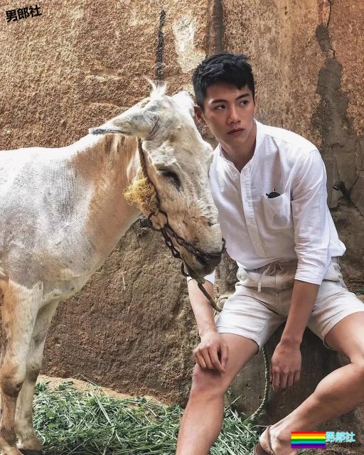 颜值很能打的小奶狗,精瘦六块腹肌迷倒多少汉纸? - 51虹马 颜值很能打的小奶狗,精瘦六块腹肌迷倒多少汉纸? - 51虹马