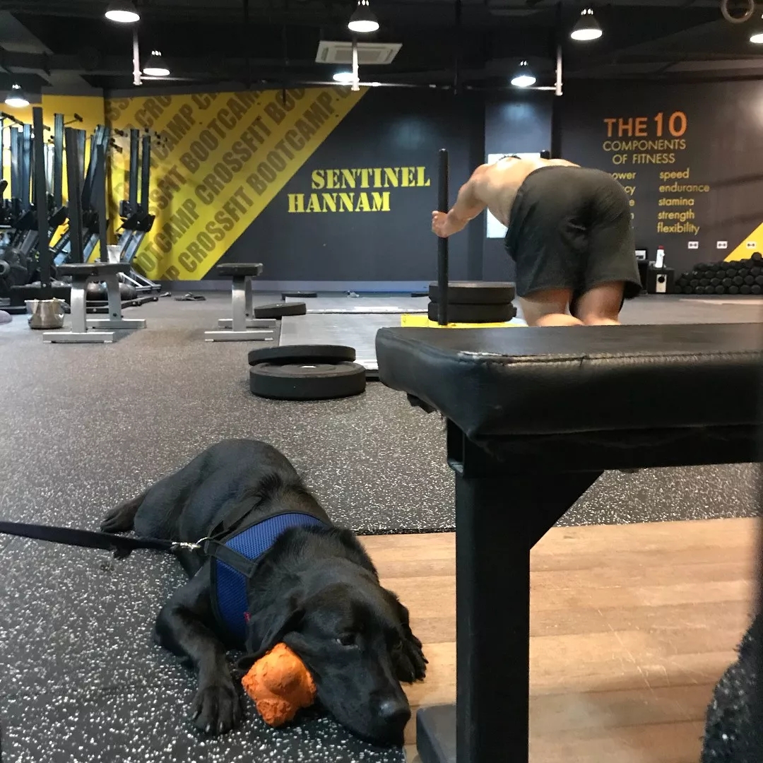 让学员翘高屁股健身！肌肉私教退伍后竟爱这口 - 51虹马