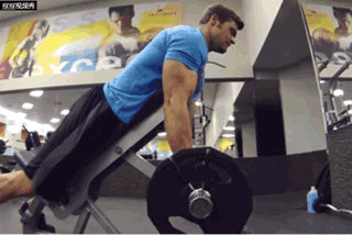 蜘蛛弯举，挤出肱二小山峰，你练对了吗？-51虹马