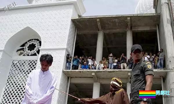 盘点2018年全球同志事件：人民日报评论性倾向，台湾同性婚姻公投失败… - 51虹马