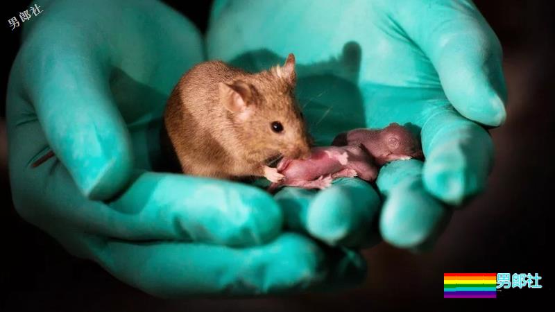 盘点2018年全球同志事件：人民日报评论性倾向，台湾同性婚姻公投失败… - 51虹马