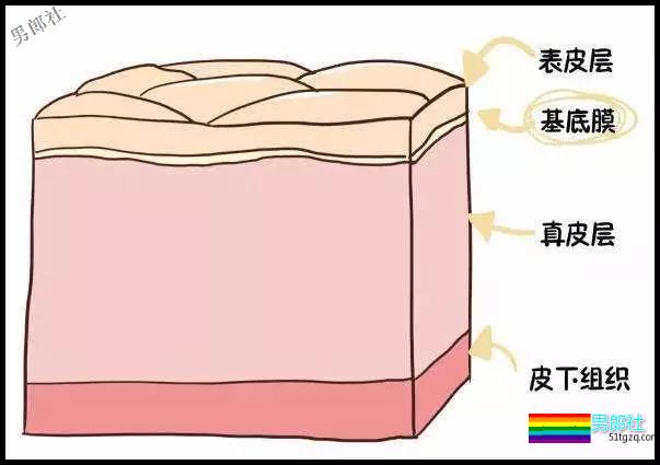 HIV感染等级(伤口篇) - 51虹马