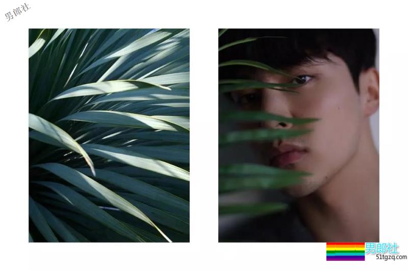 2019年Gay圈名媛权威排行榜 - 51虹马