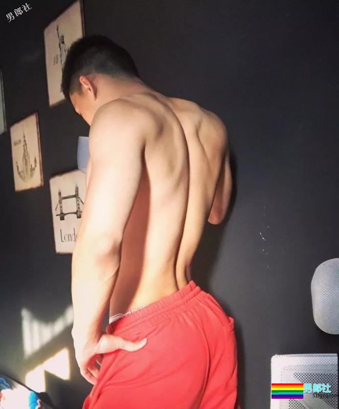 开年大戏！当红同志情侣分手！网传攀上了刘姥姥？ - 51虹马