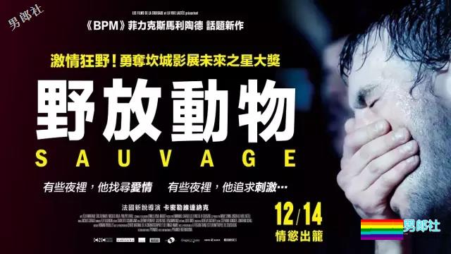 校草X鲜肉X大叔 | 今日推荐一堆新剧！ - 51虹马