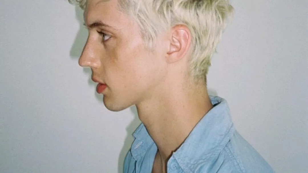 一个残障gay的自白：在虚拟世界里与同性结婚-51虹马