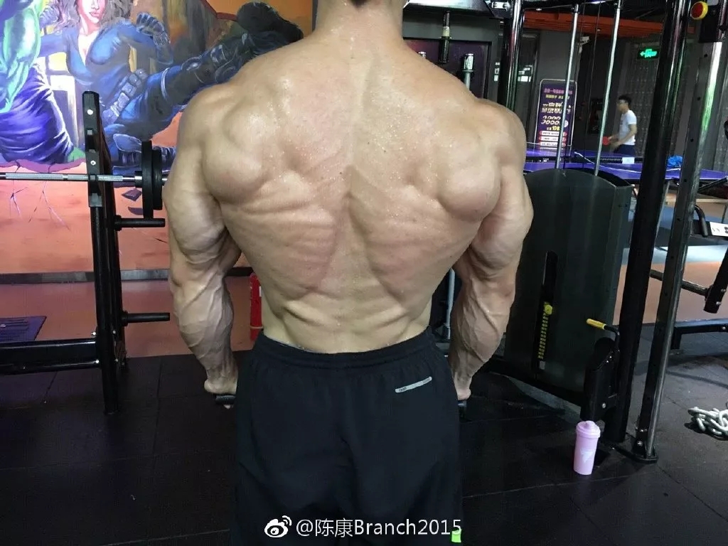 童颜巨肌！从瘦弱小伙到古典健体冠军，他绝对是中国最该被关注的最强王者！ - 51虹马